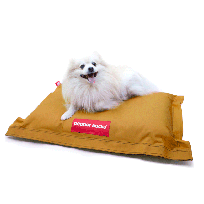 camas para perros precios camas para perros precios